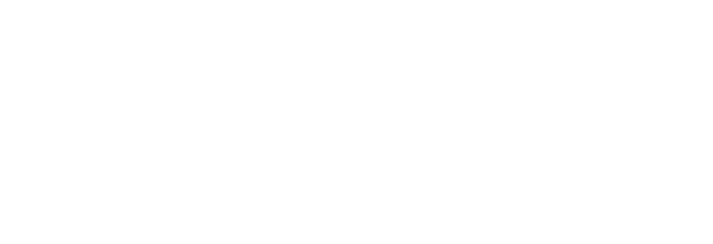 LOGO VDS.CYOU
