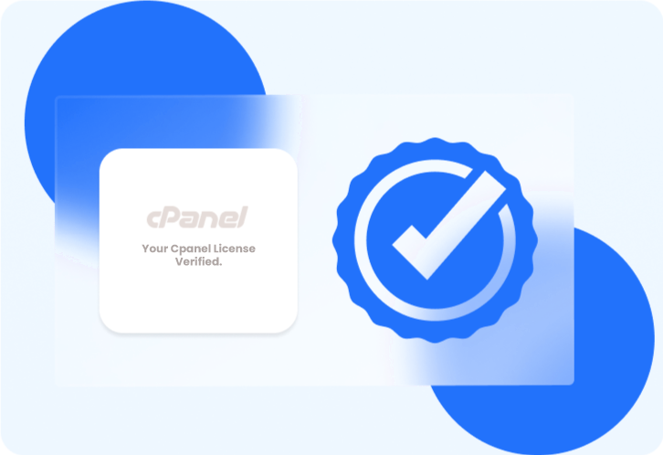 Professional Software License Solutions